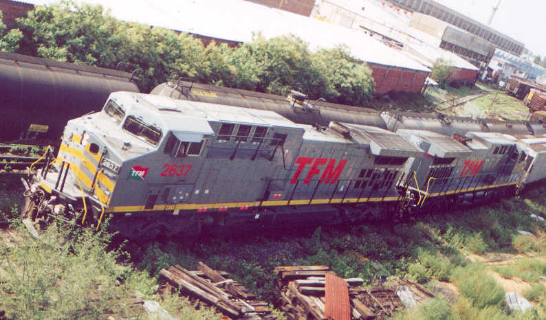 2637.jpg